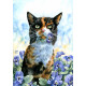 Print - Cat with Pansies